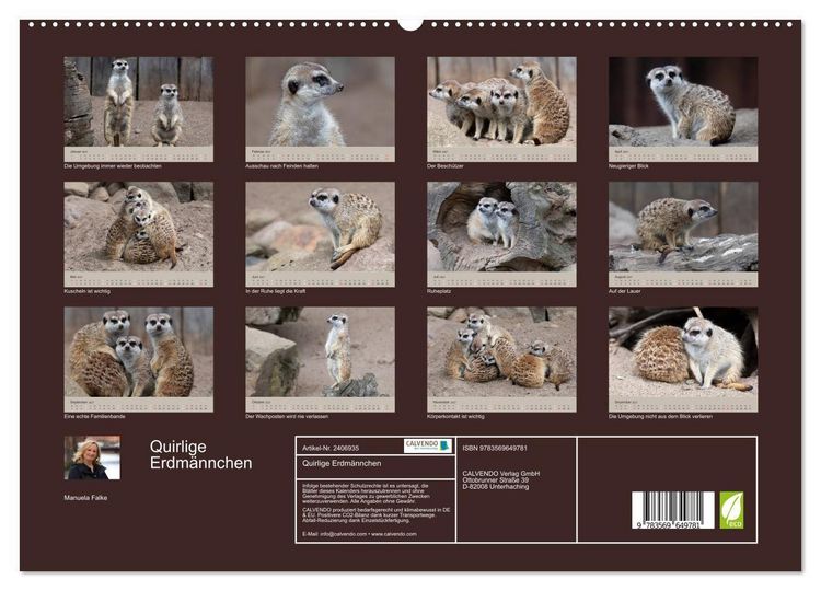 Produktbild: Quirlige Erdm&auml;nnchen (Wandkalender 2027 DIN A2 quer), CALVENDO Monatskalender