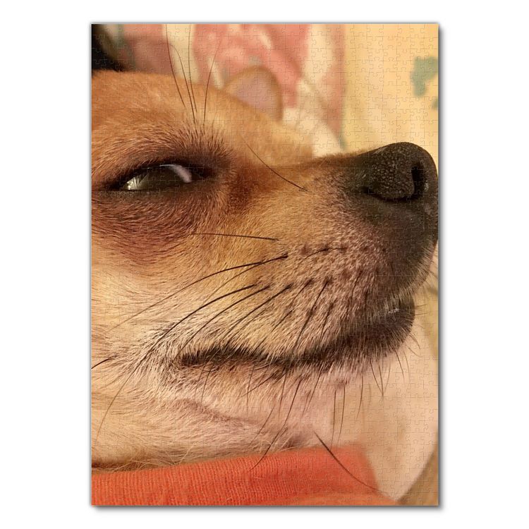Produktbild: Lais Puzzle Chihuahua 1000 Teile