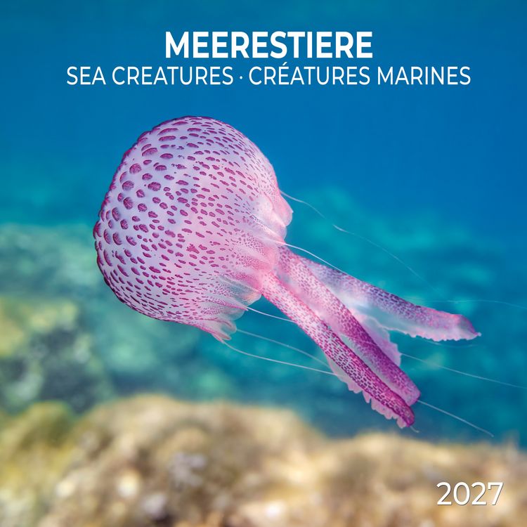 Produktbild: Meerestiere / Sea Creatures 2027