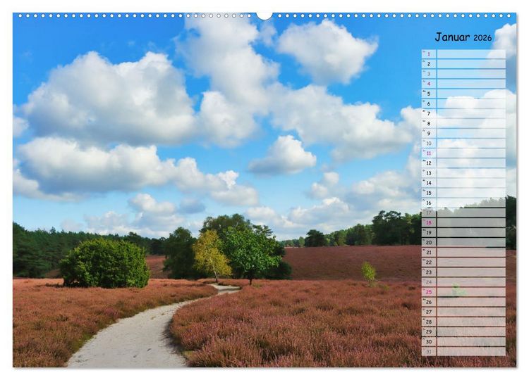 Produktbild: Heidespaziergang (Wandkalender 2026 DIN A2 quer), CALVENDO Monatskalender