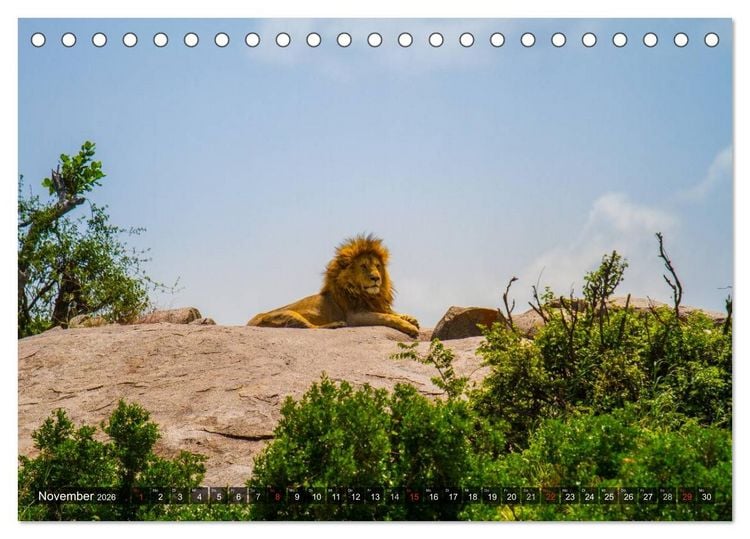 Produktbild: Abenteuer Tansania, Afrika (Tischkalender 2026 DIN A5 quer), CALVENDO Monatskalender