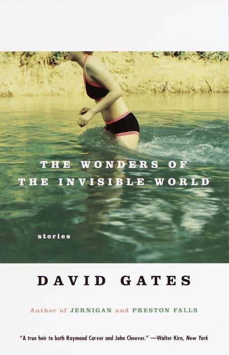 Produktbild: The Wonders of the Invisible World