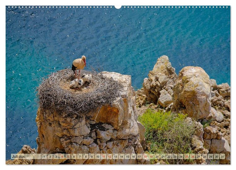 Produktbild: Fischerweg Portugal (hochwertiger Premium Wandkalender 2026 DIN A2 quer), Kunstdruck in Hochglanz