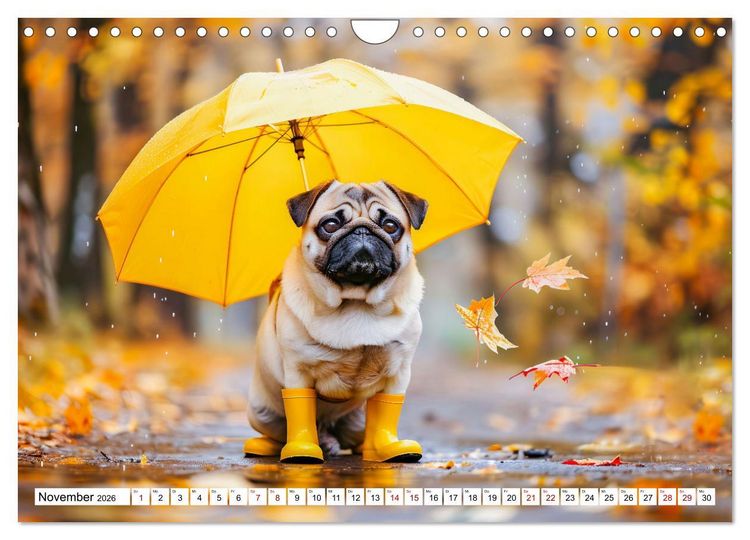 Produktbild: Mops-Mania - Der Spa&szlig;kalender f&uuml;r Mops-Fans (Wandkalender 2026 DIN A4 quer), CALVENDO Monatskalender