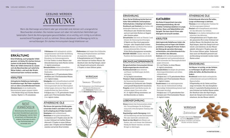 Produktbild: Die gr&uuml;ne Hausapotheke