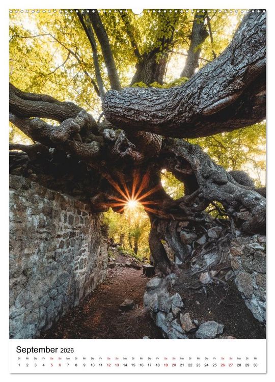 Produktbild: Mystischer Harz - Zwischen Licht und Schatten (Wandkalender 2026 DIN A2 hoch), CALVENDO Monatskalender