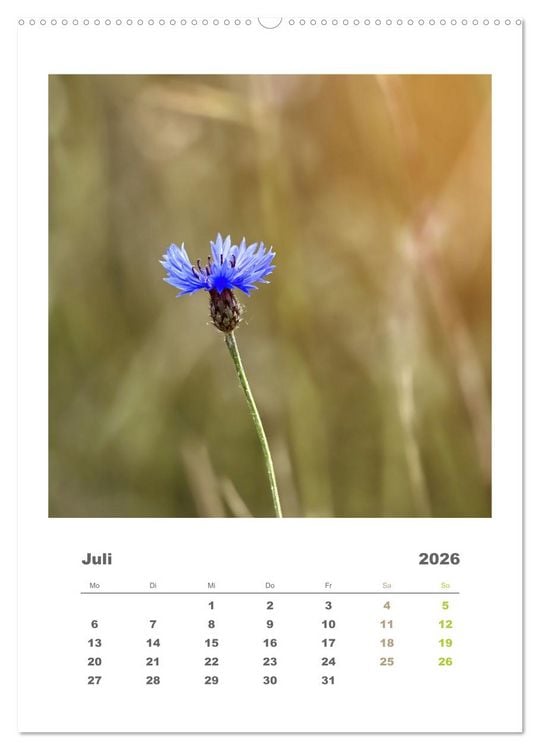 Produktbild: Minimalistisch, Gr&auml;ser, Bl&uuml;ten, Bl&auml;tter und Zweige im Fokus (Wandkalender 2026 DIN A2 hoch), CALVENDO Monatskalender