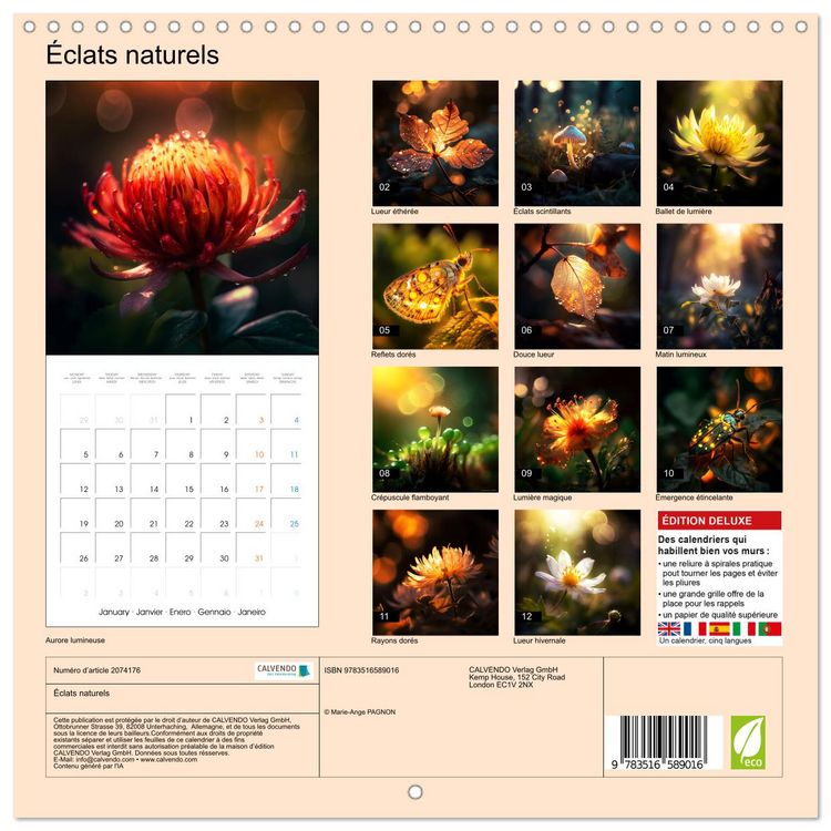 Produktbild: &Eacute;clats naturels (Calendrier mural carr&eacute; 2026 30x30 cm) Calendrier double avec une page pour vos prises de notes