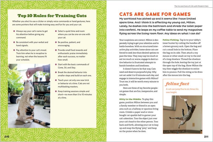 Produktbild: The Cat Behavior Answer Book, 2nd Edition