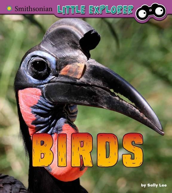 Produktbild: Birds