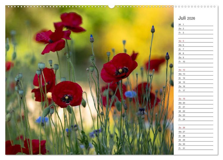 Produktbild: Blumenfreude Terminkalender (Wandkalender 2026 DIN A2 quer), CALVENDO Monatskalender
