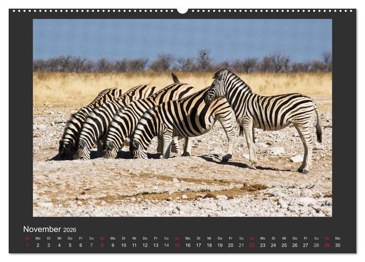 Produktbild: Facetten Namibias (hochwertiger Premium Wandkalender 2026 DIN A2 quer), Kunstdruck in Hochglanz