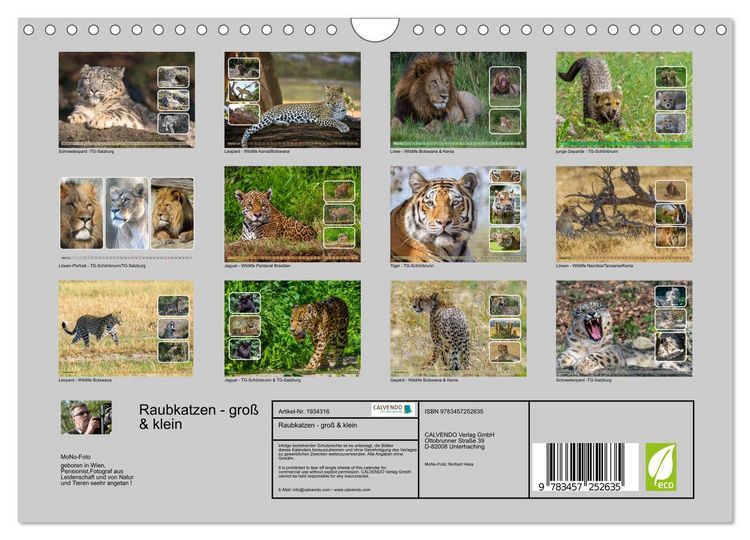 Produktbild: Raubkatzen - gro&szlig; & klein (Wandkalender 2026 DIN A4 quer), CALVENDO Monatskalender