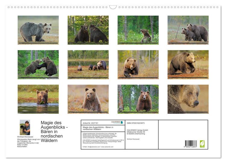 Produktbild: Magie des Augenblicks - B&auml;ren in nordischen W&auml;ldern (Wandkalender 2026 DIN A2 quer), CALVENDO Monatskalender