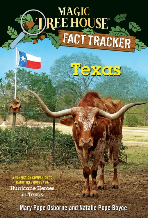 Produktbild: Texas