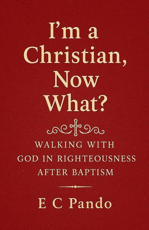 Produktbild: I'm A Christian, Now What?
