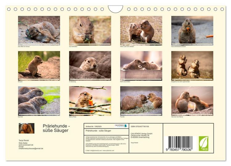 Produktbild: Pr&auml;riehunde - s&uuml;&szlig;e S&auml;uger (Wandkalender 2026 DIN A4 quer), CALVENDO Monatskalender
