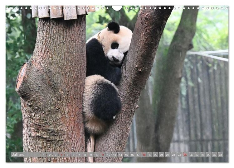 Produktbild: Erlebnis China (Wandkalender 2027 DIN A3 quer), CALVENDO Monatskalender