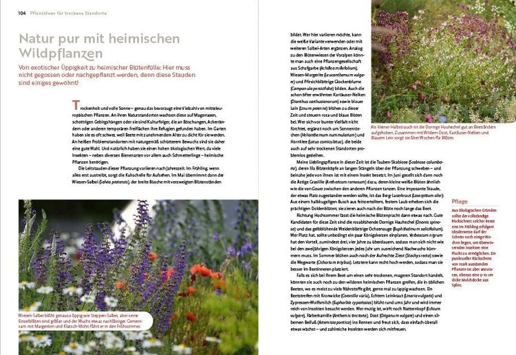 Produktbild: Echte Hitzeprofis