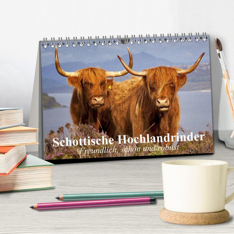Produktbild: Schottische Hochlandrinder. Freundlich, sch&ouml;n und robust (Tischkalender 2026 DIN A5 quer), CALVENDO Monatskalender