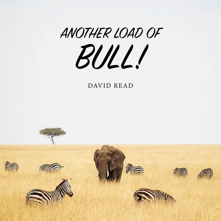 Produktbild: Another Load of Bull