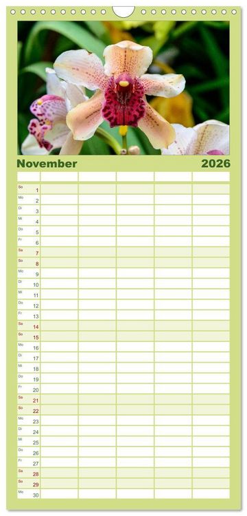 Produktbild: Familienplaner 2026 - Wunderbare Orchideen mit 5 Spalten (Wandkalender, 21 x 45 cm) CALVENDO
