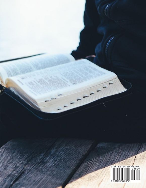Produktbild: The Bible Period by Period