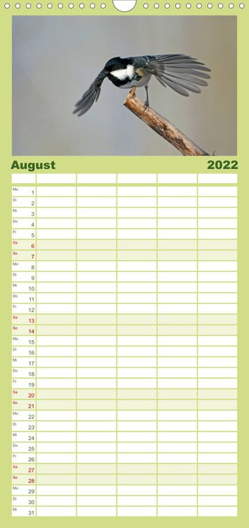 Produktbild: Familienplaner Weltnaturerbe Hainich (Wandkalender 2022 , 21 cm x 45 cm, hoch)