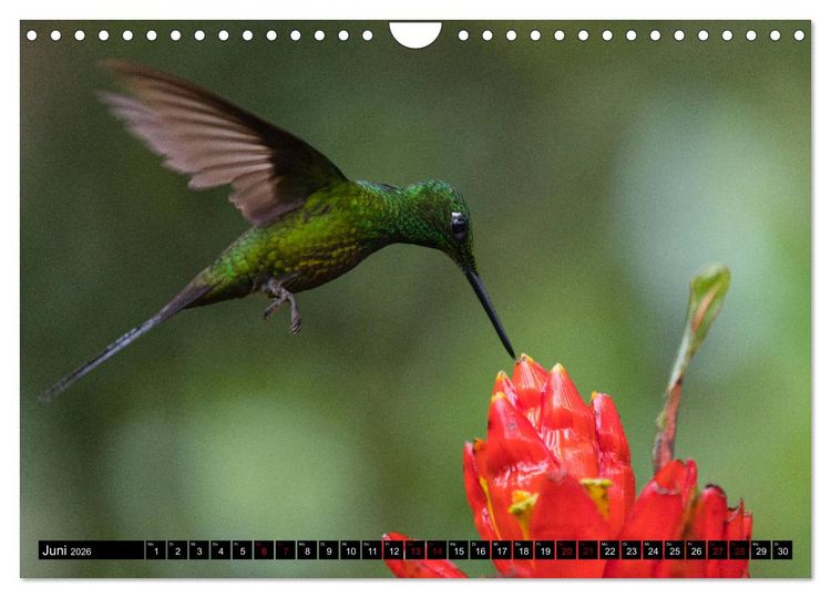 Produktbild: Traumwelt Ecuador (Wandkalender 2026 DIN A4 quer), CALVENDO Monatskalender