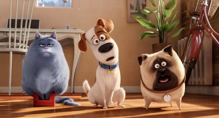 Produktbild: Pets Doppelpack: Pets 1 & Pets 2 [2 DVDs]