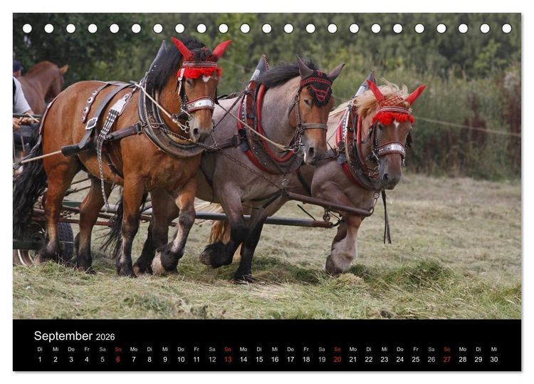 Produktbild: Starke Pferde bei der Arbeit (Tischkalender 2026 DIN A5 quer), CALVENDO Monatskalender