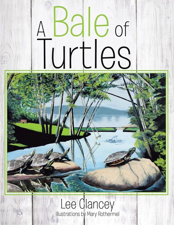 Produktbild: A Bale of Turtles