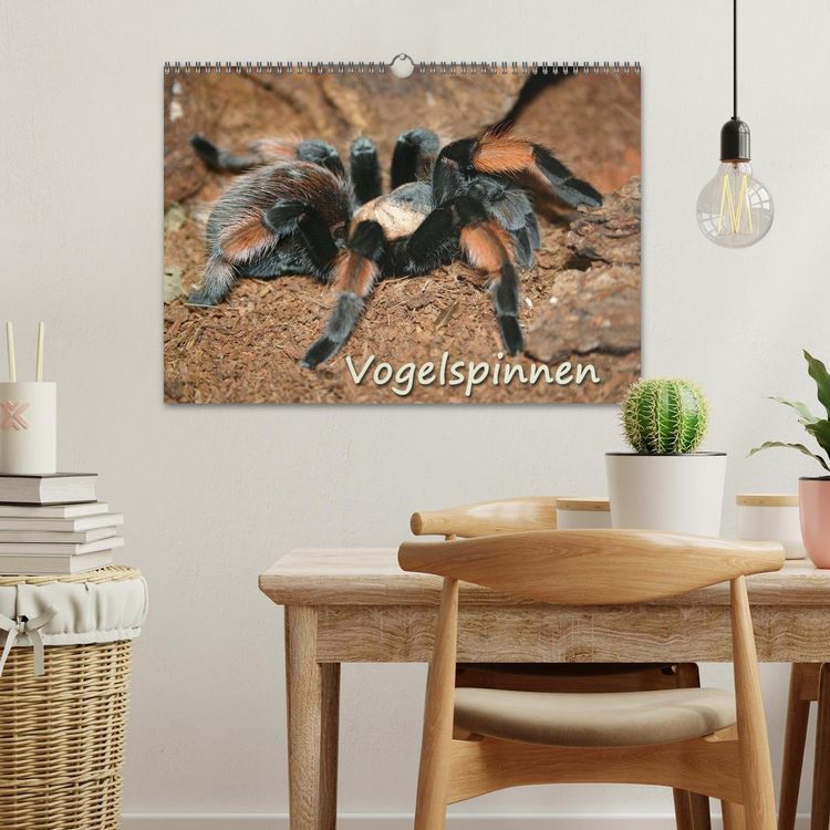 Produktbild: Vogelspinnen (Wandkalender 2026 DIN A3 quer), CALVENDO Monatskalender