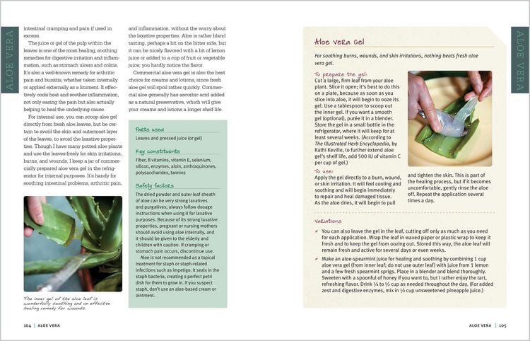 Produktbild: Rosemary Gladstar's Medicinal Herbs: A Beginner's Guide