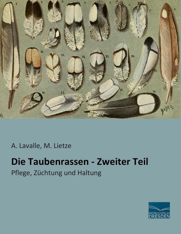 Produktbild: Die Taubenrassen - Zweiter Teil