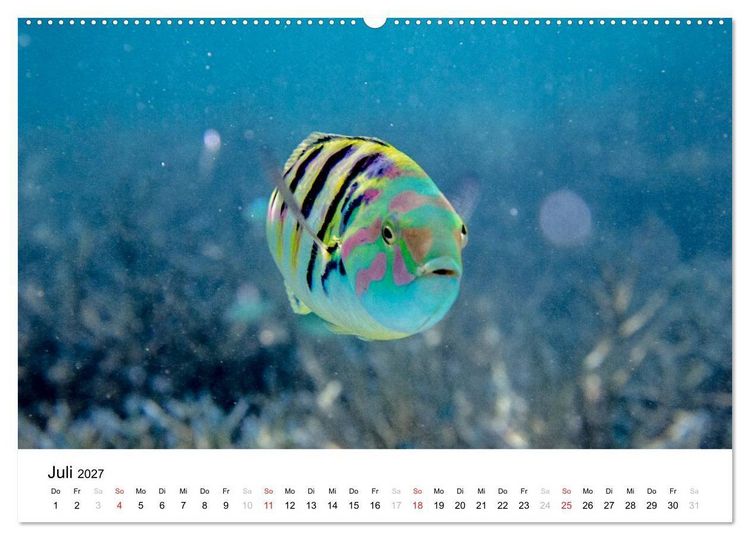 Produktbild: Malediven - Das Paradies im Indischen Ozean I (hochwertiger Premium Wandkalender 2027 DIN A2 quer), Kunstdruck in Hochglanz