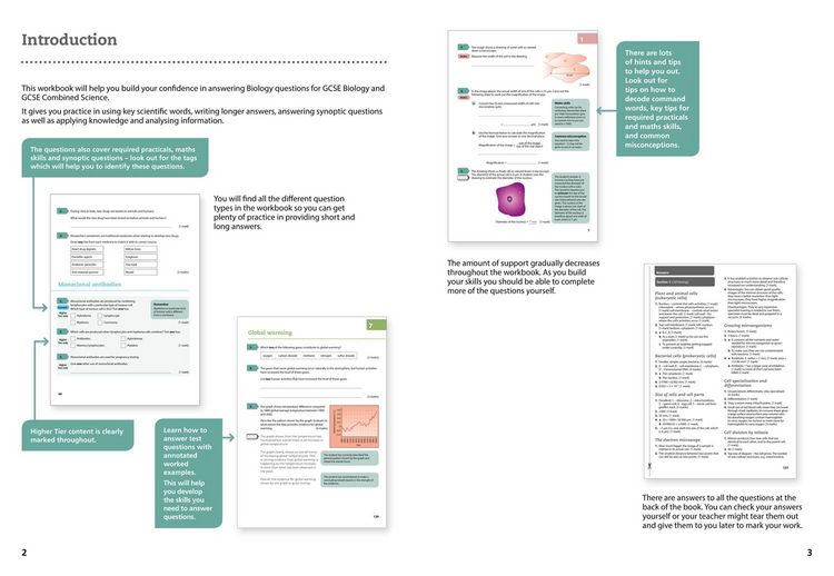 Produktbild: AQA GCSE BIOLOGY G5 BOOWB