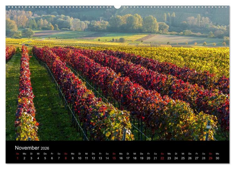 Produktbild: Sommerach - Perle der Mainschleife (hochwertiger Premium Wandkalender 2026 DIN A2 quer), Kunstdruck in Hochglanz