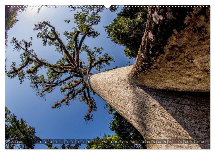 Produktbild: Belize - Guatemala (Wandkalender 2026 DIN A2 quer), CALVENDO Monatskalender