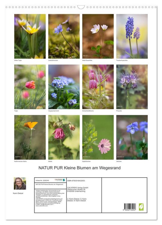 Produktbild: NATUR PUR Kleine Blumen am Wegesrand (Wandkalender 2026 DIN A2 hoch), CALVENDO Monatskalender