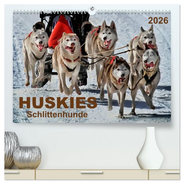 Produktbild: Huskies - Schlittenhunde (hochwertiger Premium Wandkalender 2026 DIN A2 quer), Kunstdruck in Hochglanz