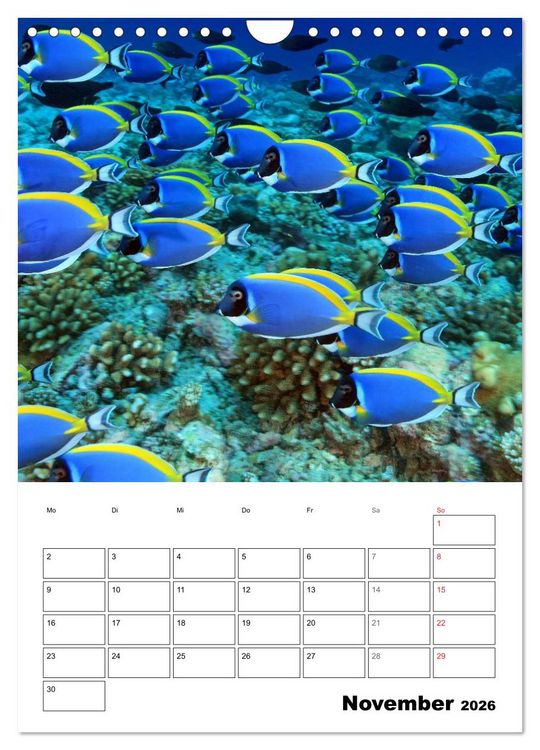 Produktbild: Tauchen - Abtauchen und Staunen (Wandkalender 2026 DIN A4 hoch), CALVENDO Monatskalender
