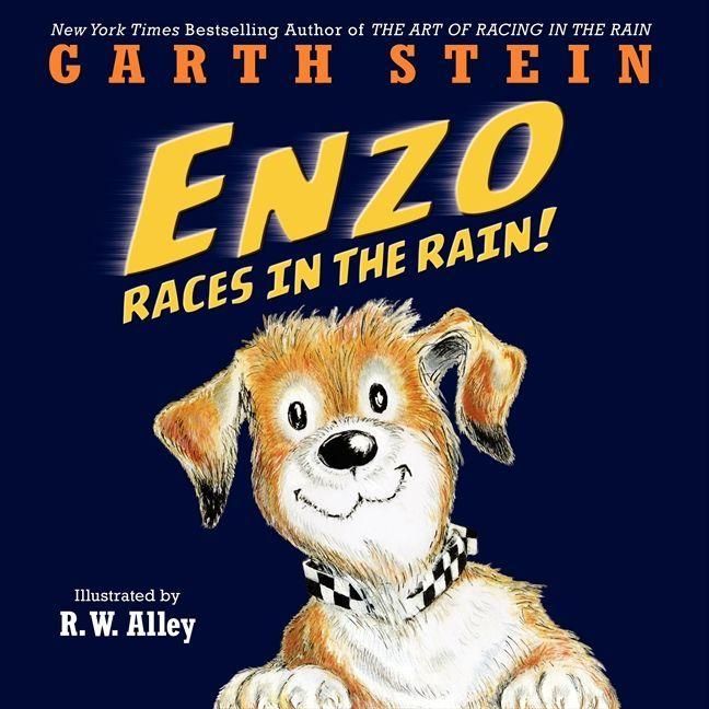 Produktbild: Enzo Races in the Rain!