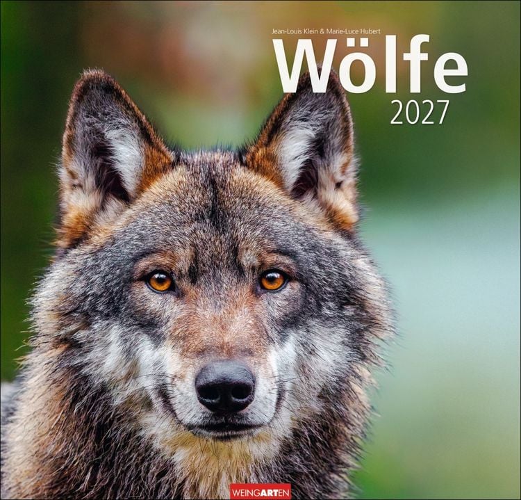 Produktbild: W&ouml;lfe Kalender 2027