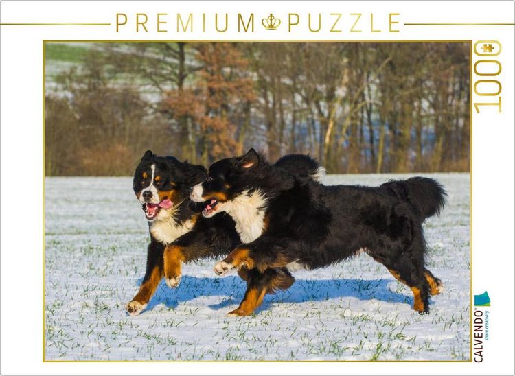Produktbild: CALVENDO Puzzle Winterfreuden mit Berner Sennenhunden | 1000 Teile Lege-Gr&ouml;&szlig;e 64x48cm Foto-Puzzle f&uuml;r gl&uuml;ckliche Stunden