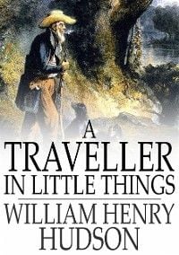 Produktbild: Traveller in Little Things