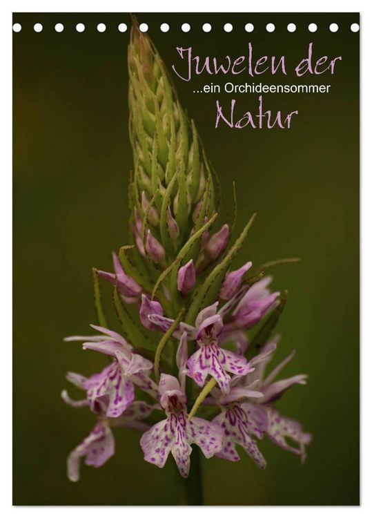 Produktbild: Juwelen der Natur - Ein Orchideensommer (Tischkalender 2026 DIN A5 hoch), CALVENDO Monatskalender