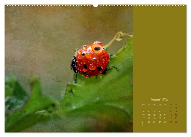 Produktbild: Kalenderspr&uuml;che (hochwertiger Premium Wandkalender 2026 DIN A2 quer), Kunstdruck in Hochglanz