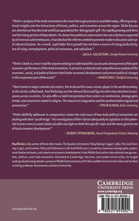 Produktbild: Arab Economies in the Twenty-First Century