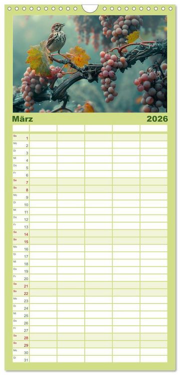 Produktbild: Familienplaner 2026 - Wein begeistert mit 5 Spalten (Wandkalender, 21 x 45 cm) CALVENDO